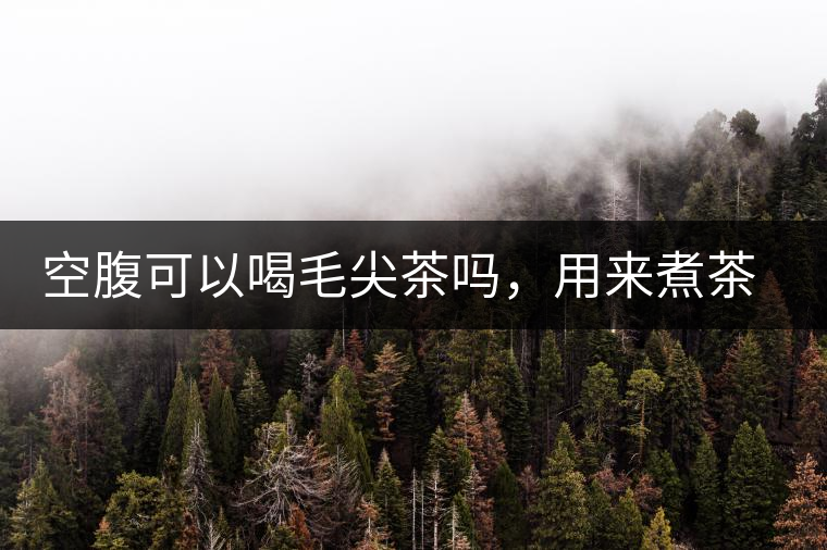 空腹可以喝毛尖茶嗎，用來煮茶葉蛋怎么樣？
