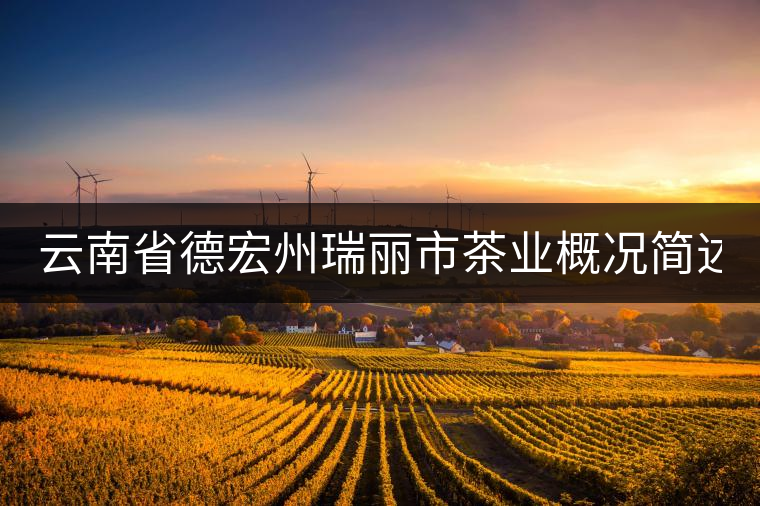 云南省德宏州瑞麗市茶業(yè)概況簡述(下篇) 云南省德宏州瑞麗市茶業(yè)概況簡述(下篇)