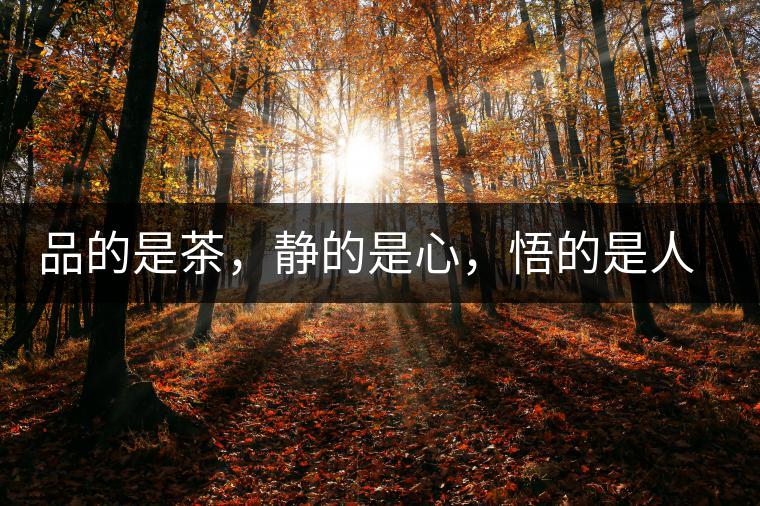 品的是茶，靜的是心，悟的是人生，滌的是靈魂