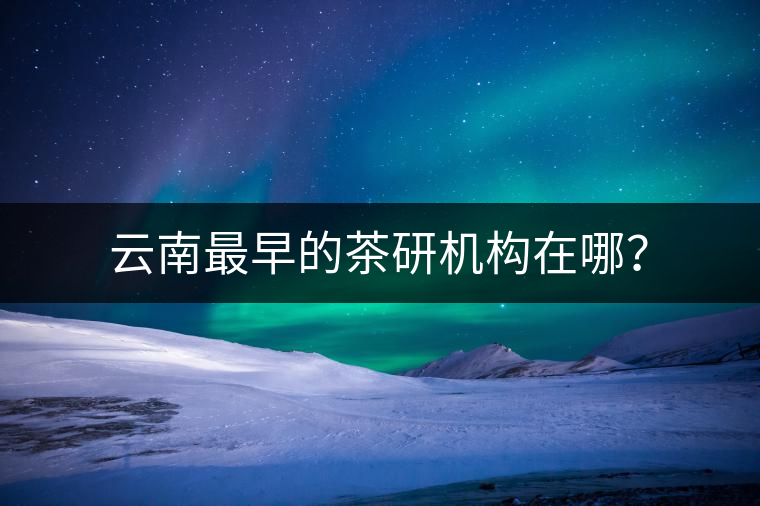 云南最早的茶研機(jī)構(gòu)在哪？