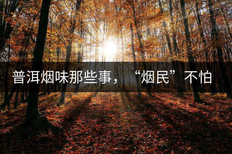 普洱煙味那些事，“煙民”不怕當(dāng)