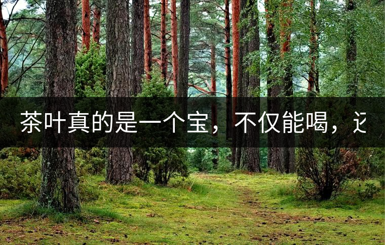 茶葉真的是一個(gè)寶，不僅能喝，還能用！