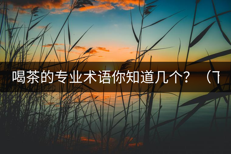 喝茶的專業(yè)術(shù)語(yǔ)你知道幾個(gè)？（下篇）