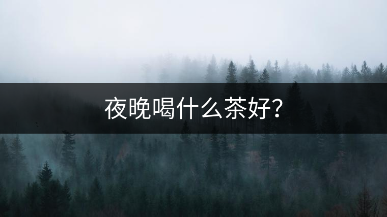 夜晚喝什么茶好？