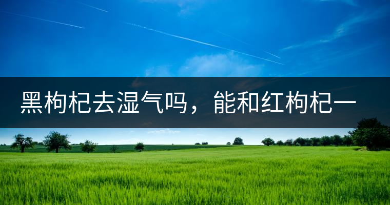 黑枸杞去濕氣嗎，能和紅枸杞一起泡嗎？