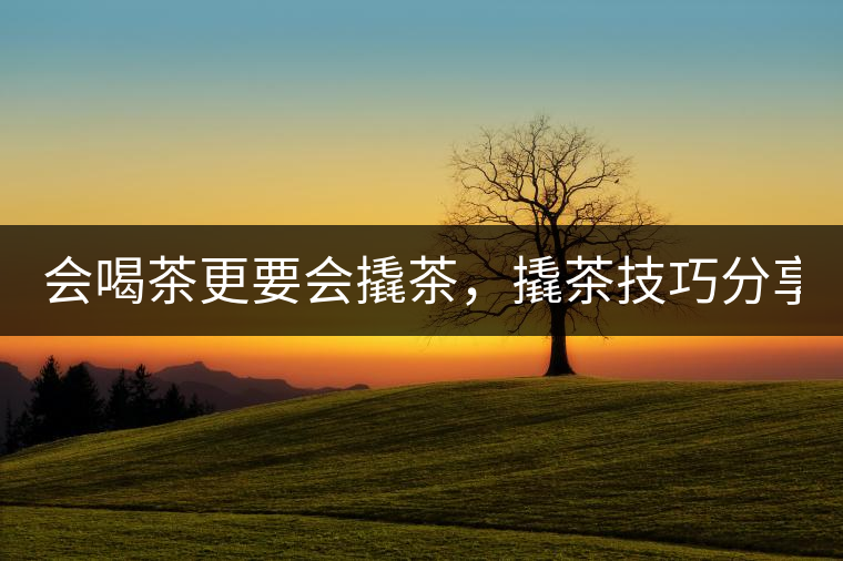 會喝茶更要會撬茶，撬茶技巧分享！