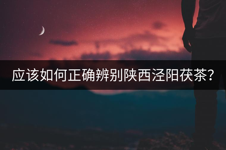 應該如何正確辨別陜西涇陽茯茶？