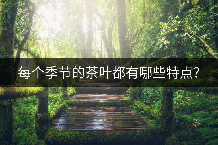 每個(gè)季節(jié)的茶葉都有哪些特點(diǎn)？