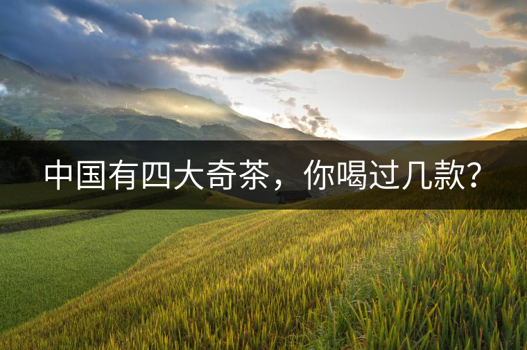 中國有四大奇茶，你喝過幾款？