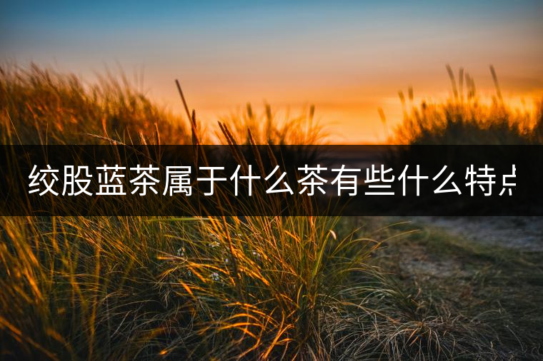 絞股藍(lán)茶屬于什么茶有些什么特點？