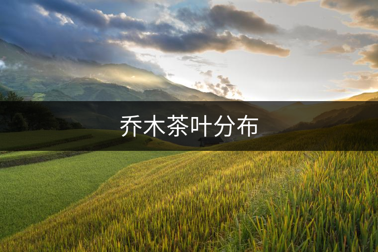 喬木茶葉分布 喬木茶葉分布