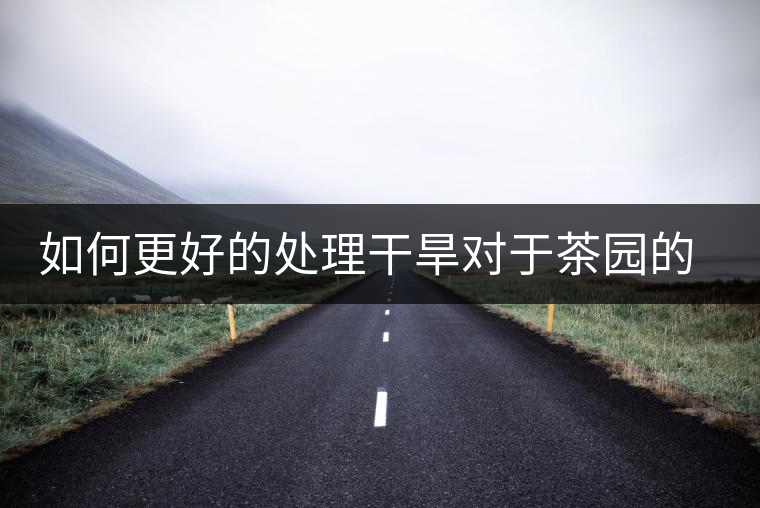 如何更好的處理干旱對(duì)于茶園的影響？