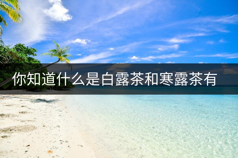 你知道什么是白露茶和寒露茶有區(qū)別嗎？