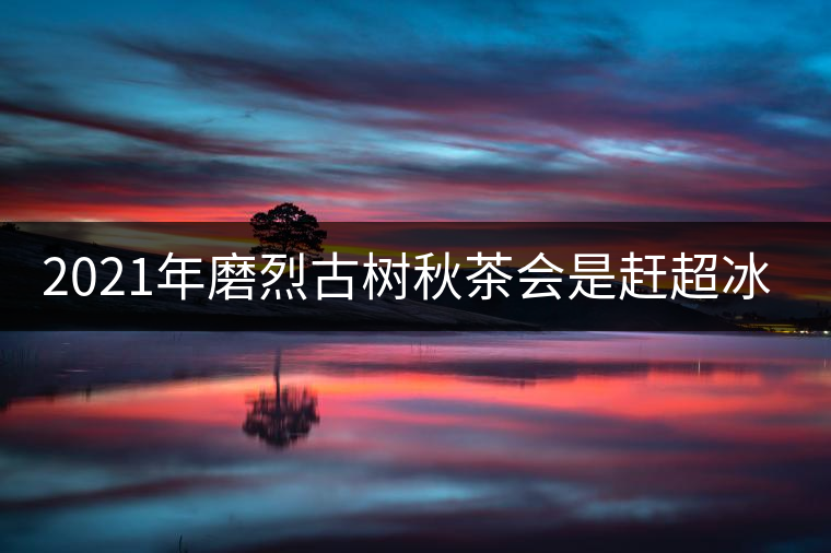 2021年磨烈古樹秋茶會(huì)是趕超冰島的存在嗎？