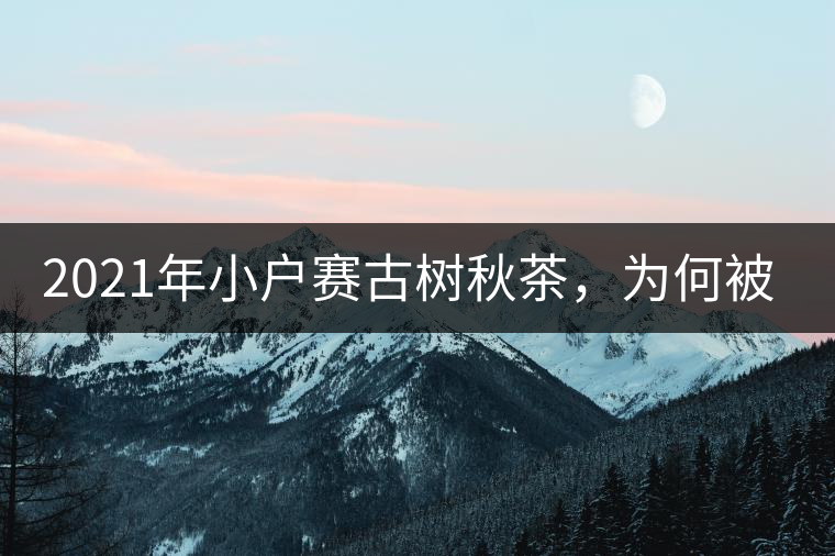 2021年小戶賽古樹秋茶，為何被稱為賽冰島？