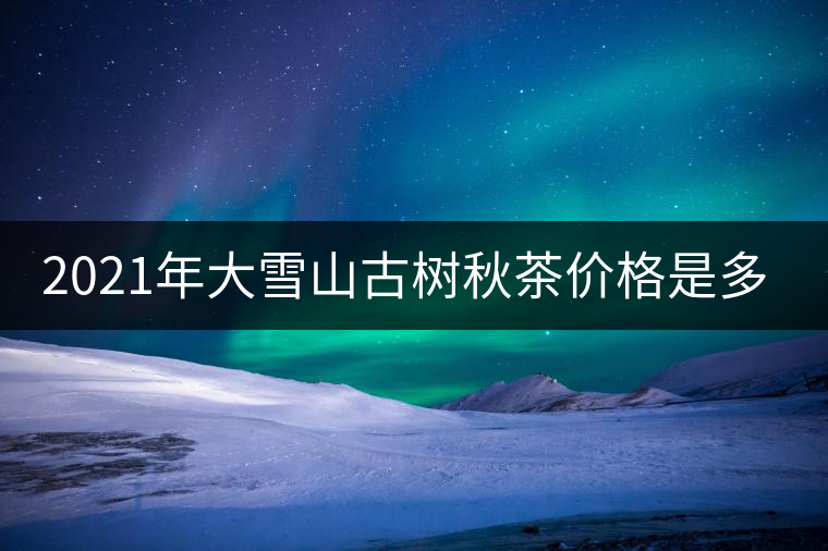 2021年大雪山古樹秋茶價格是多少？