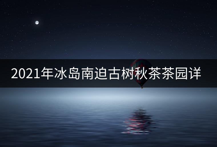 2021年冰島南迫古樹秋茶茶園詳解！