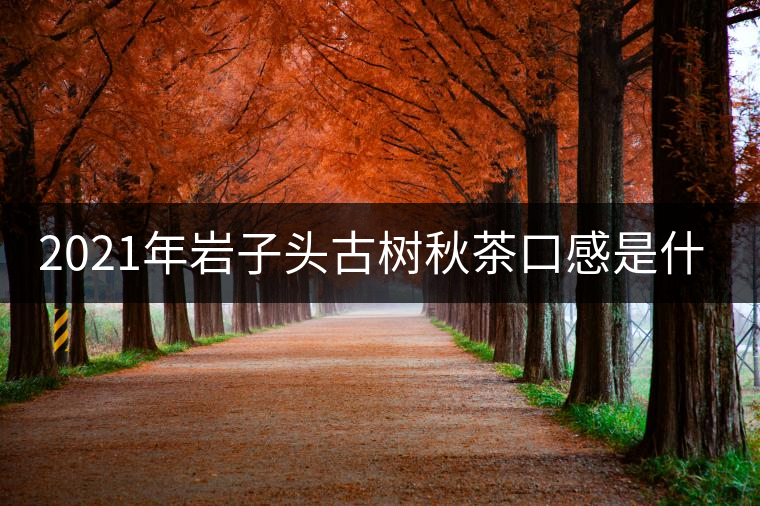2021年巖子頭古樹(shù)秋茶口感是什么？