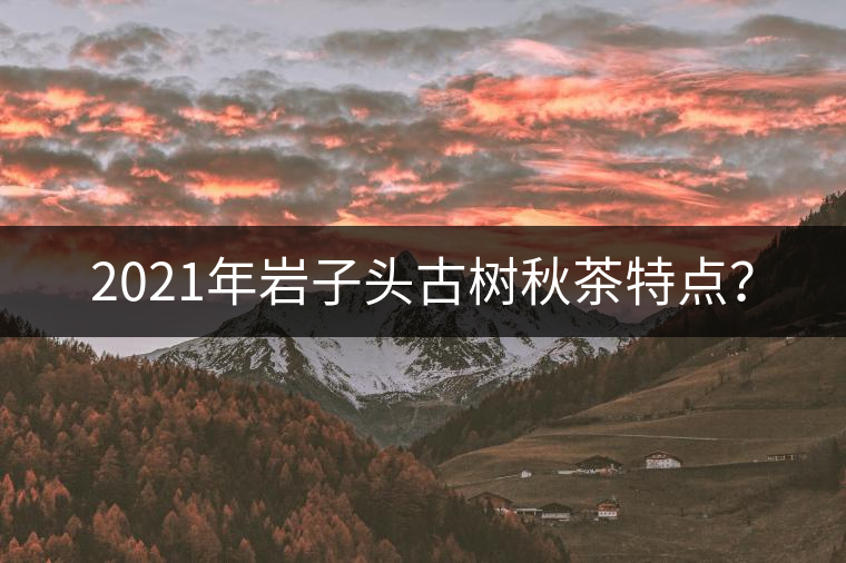 2021年巖子頭古樹秋茶特點(diǎn)？