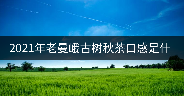 2021年老曼峨古樹(shù)秋茶口感是什么？