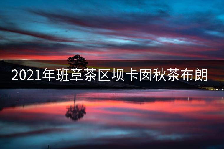 2021年班章茶區(qū)壩卡囡秋茶布朗茶系中的甜茶類！