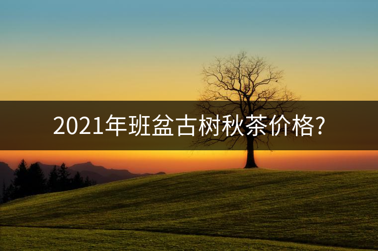 2021年班盆古樹秋茶價格? 2021年班盆古樹秋茶價格?