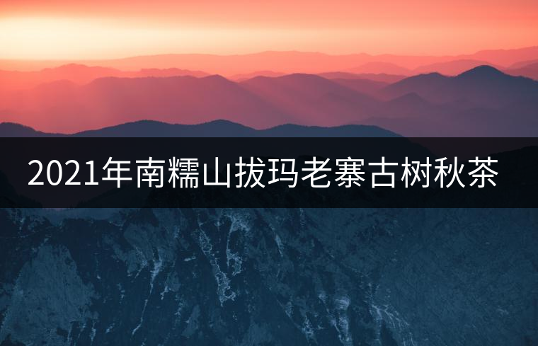 2021年南糯山拔瑪老寨古樹秋茶價(jià)格？