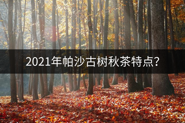 2021年帕沙古樹秋茶特點？