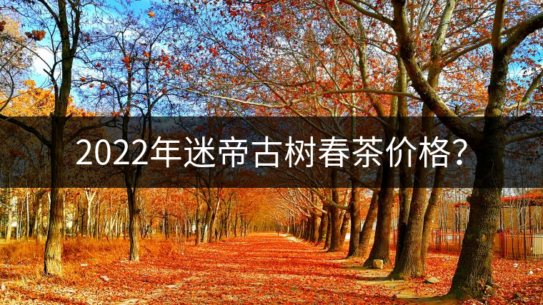 2022年迷帝古樹(shù)春茶價(jià)格？