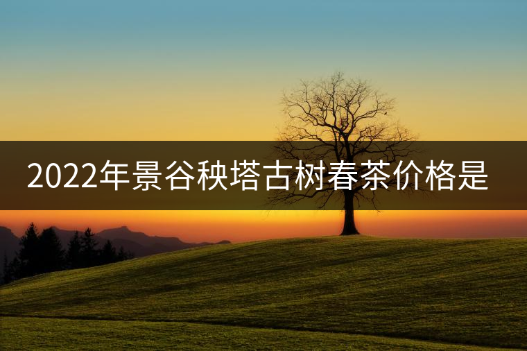 2022年景谷秧塔古樹春茶價格是多少？