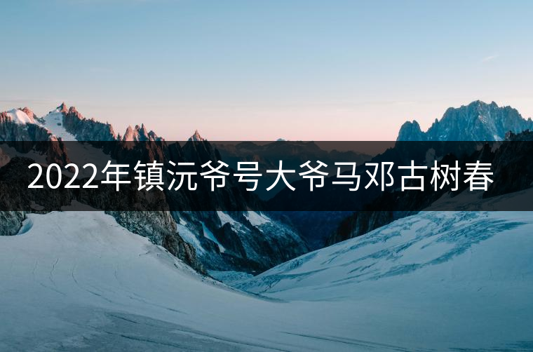 2022年鎮(zhèn)沅爺號(hào)大爺馬鄧古樹春茶特點(diǎn)？