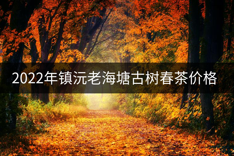 2022年鎮(zhèn)沅老海塘古樹春茶價格? 2022年鎮(zhèn)沅老海塘古樹春茶價格?