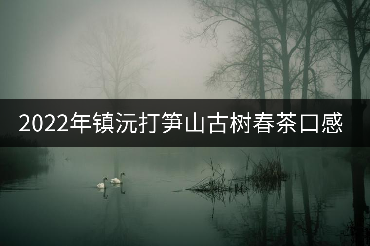 2022年鎮(zhèn)沅打筍山古樹春茶口感？