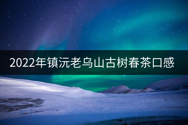 2022年鎮(zhèn)沅老烏山古樹春茶口感？