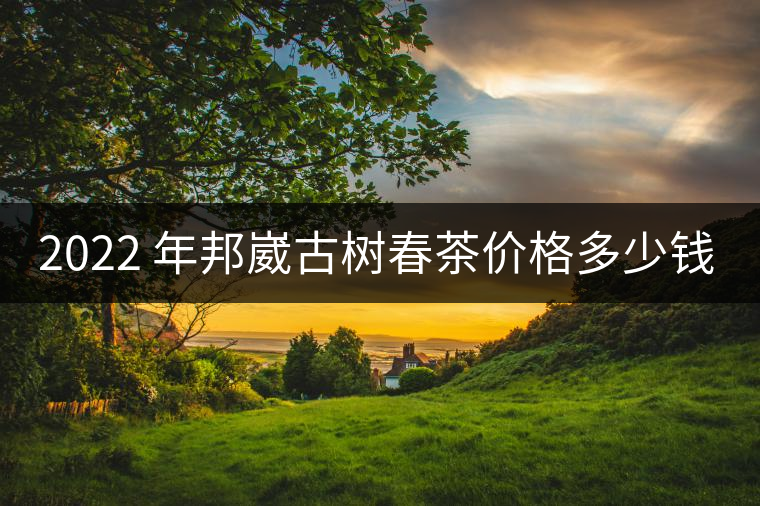 2022 年邦崴古樹(shù)春茶價(jià)格多少錢一公斤？