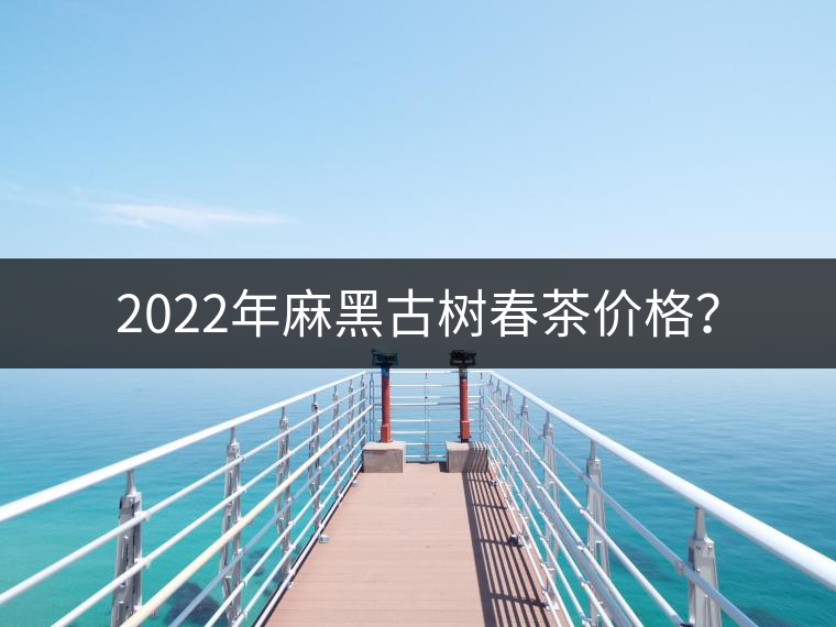 2022年麻黑古樹春茶價格？