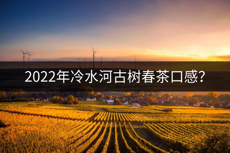 2022年冷水河古樹(shù)春茶口感？