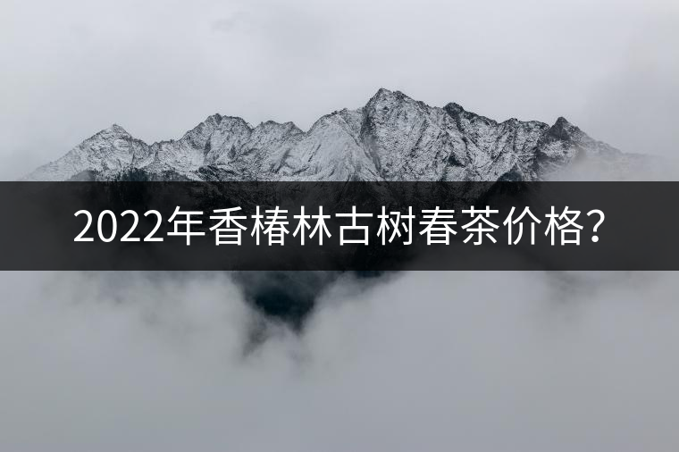 2022年香椿林古樹(shù)春茶價(jià)格？