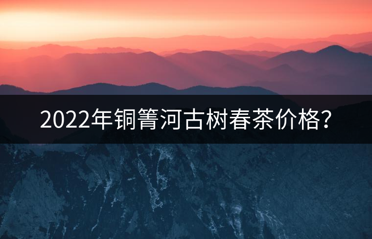 2022年銅箐河古樹春茶價(jià)格？