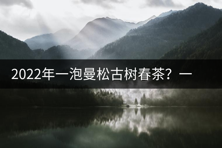2022年一泡曼松古樹春茶？一飲帝王味……