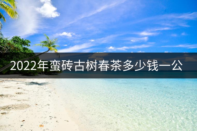 2022年蠻磚古樹春茶多少錢一公斤？