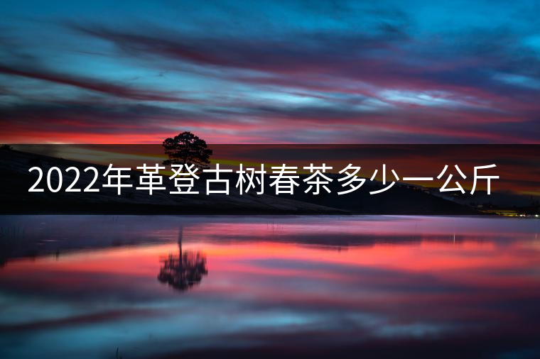 2022年革登古樹春茶多少一公斤？