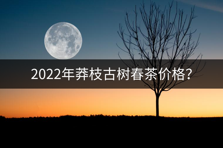 2022年莽枝古樹春茶價格? 2022年莽枝古樹春茶價格?