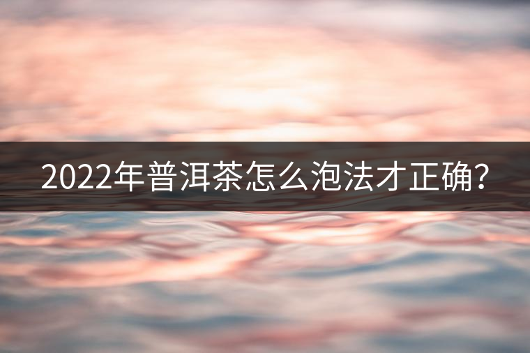 2022年普洱茶怎么泡法才正確？