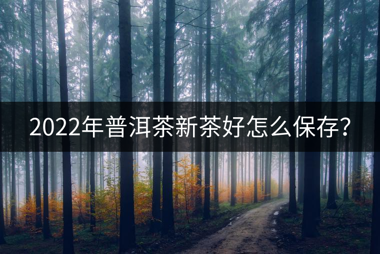 2022年普洱茶新茶好怎么保存？