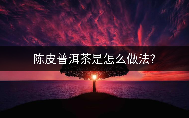 陳皮普洱茶是怎么做法? 陳皮普洱茶是怎么做法?
