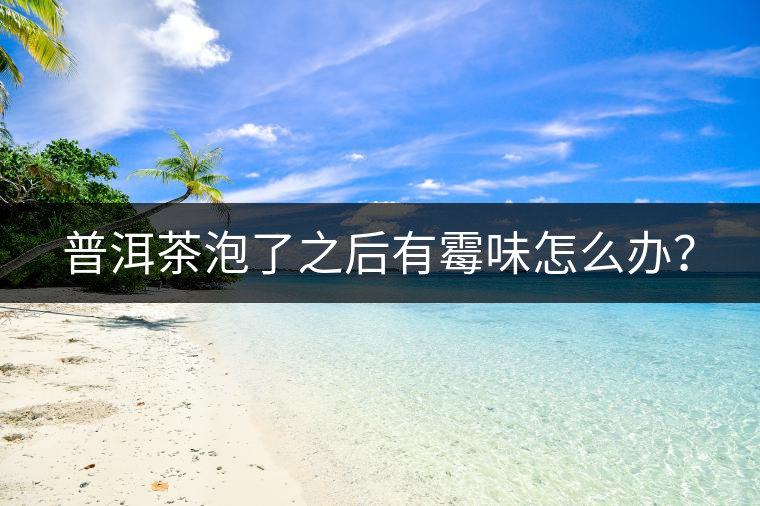 普洱茶泡了之后有霉味怎么辦？