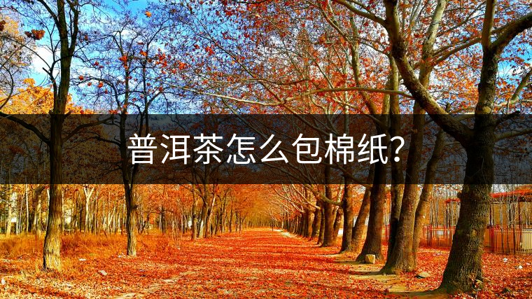 普洱茶怎么包棉紙？