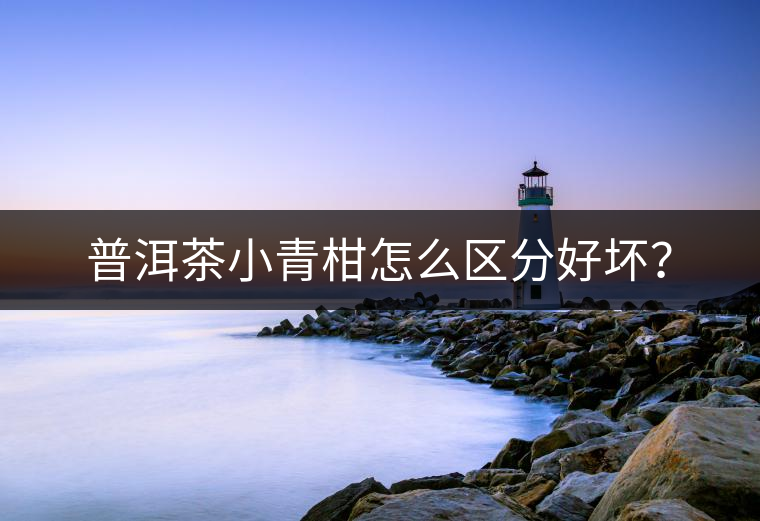 普洱茶小青柑怎么區(qū)分好壞？