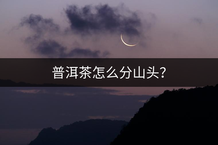 普洱茶怎么分山頭？